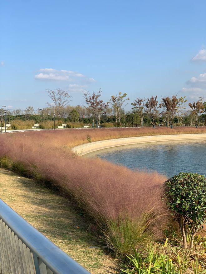 售楼处发布:天誉兰香主城宜居标杆开元棋牌网站【象屿】象屿天誉蘭香(图22) 售楼处发布:天誉兰香主城宜居标杆开元棋牌网站【象屿】象屿天誉蘭香(图22)